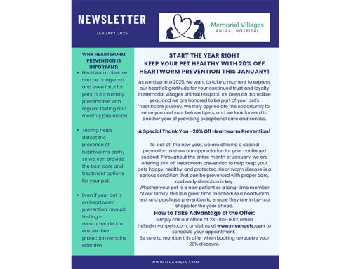 February Newsletter
